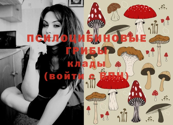 наркотики Каменск-Шахтинский