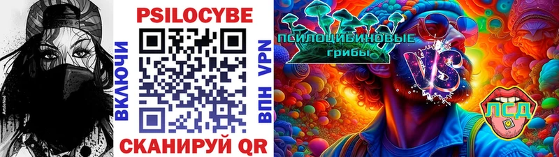 Купить  Кыштым  Псилоцибиновые грибы Psilocybe 