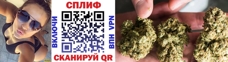 Купить закладки  Кыштым  Шишки марихуана Amnesia 